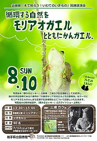 講演会「循環する自然をモリアオガエルとともにかんガエル。」ポスター